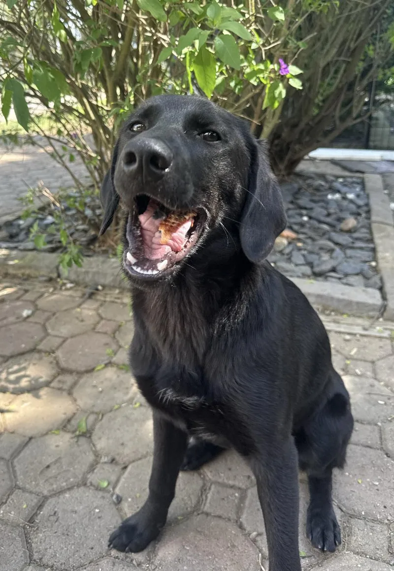 Twilight thumbnail 3