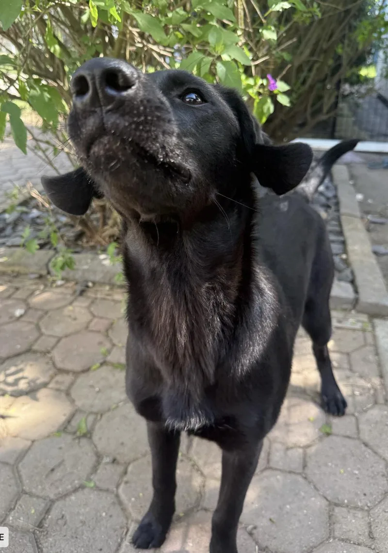 Twilight thumbnail 4