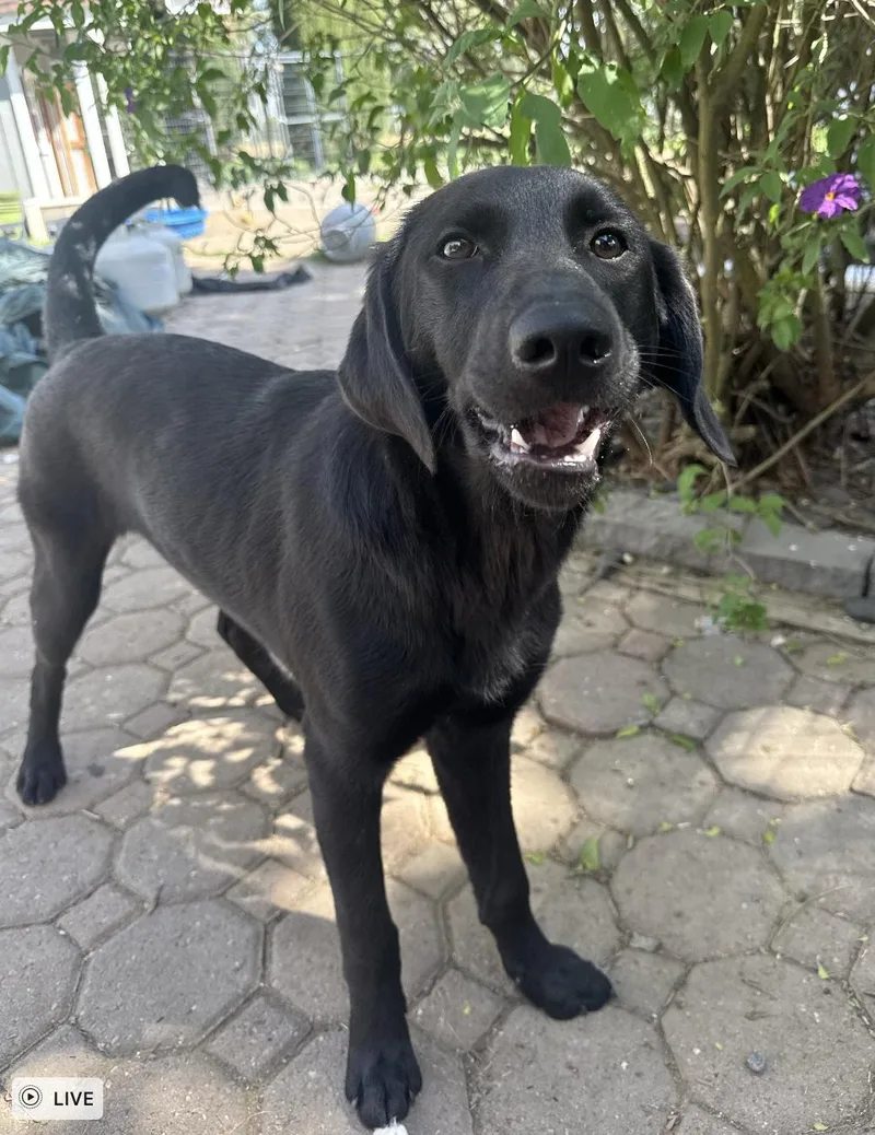 Twilight thumbnail 5