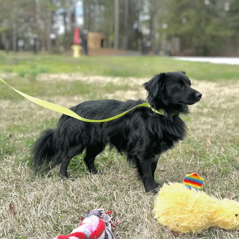 Twizzler thumbnail 2