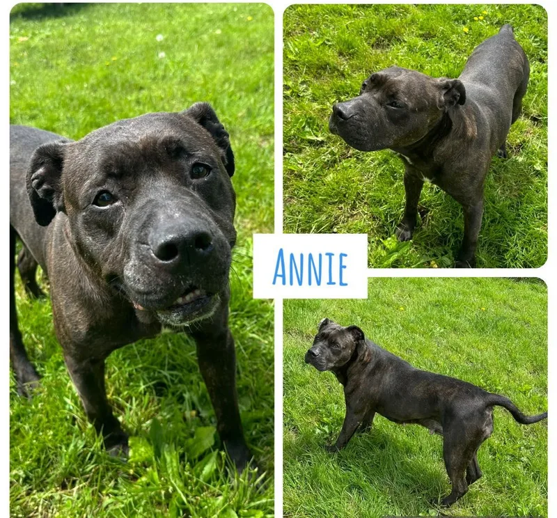 Annie