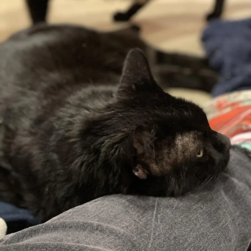 Sleepy