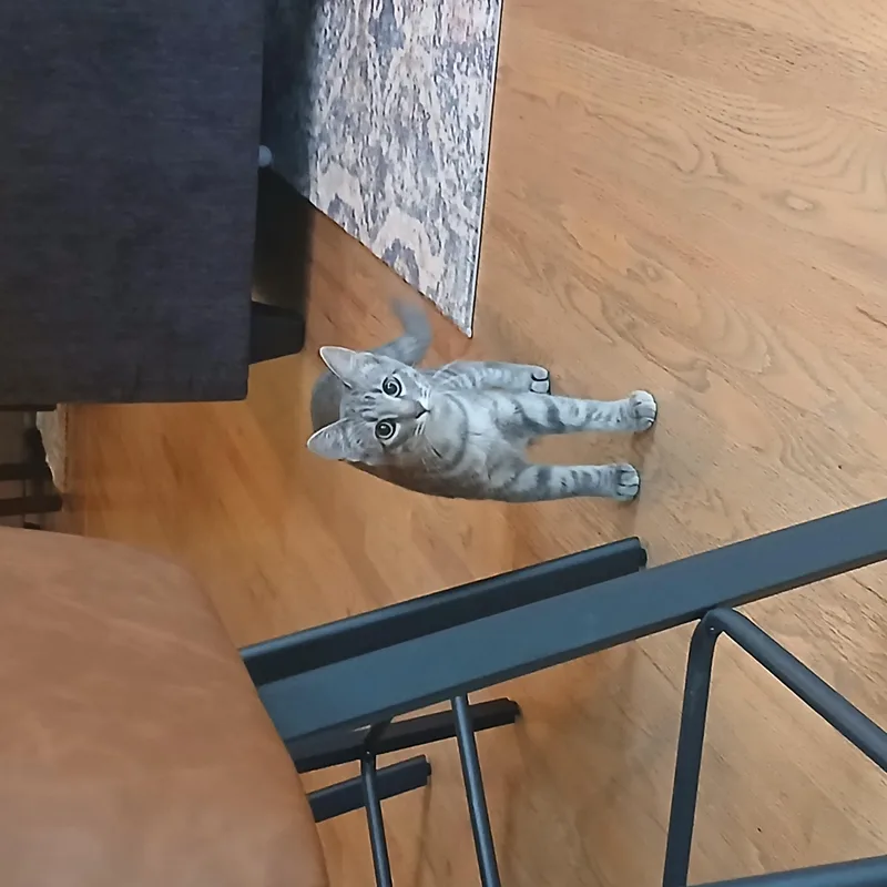 Rosie thumbnail 3
