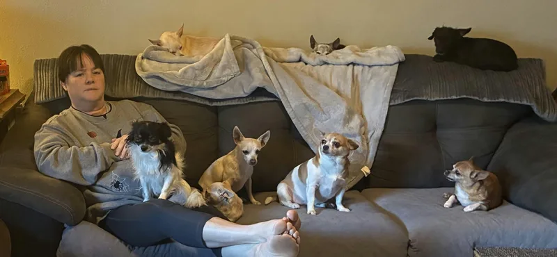 Banjo thumbnail 4