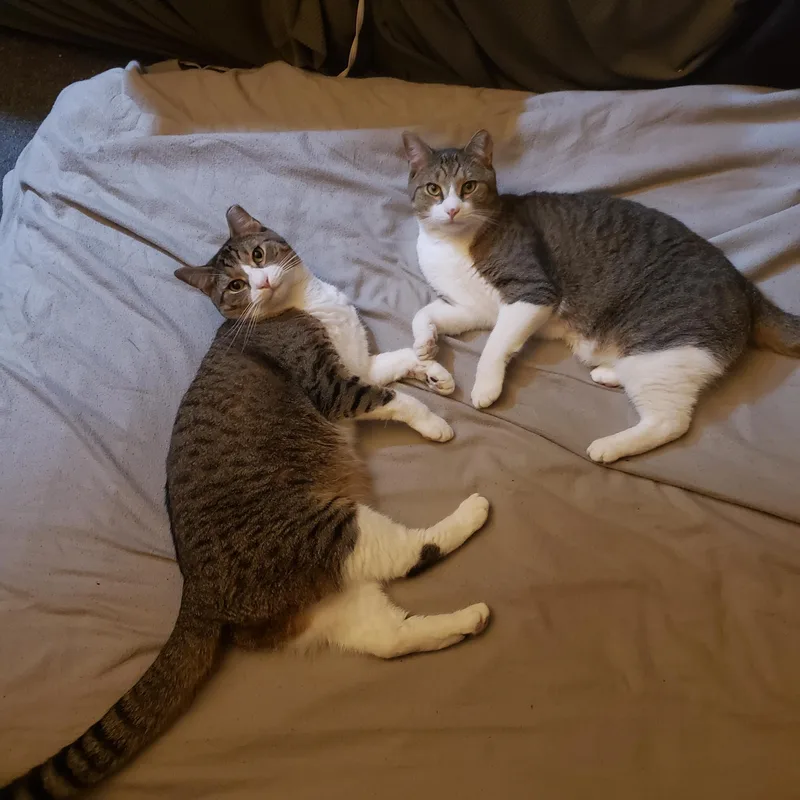 Mocha & Latte thumbnail 2