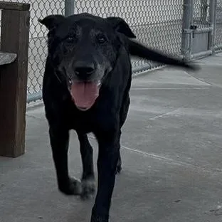 Johnny Bravo thumbnail 2