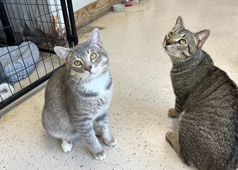 Martin & Bud thumbnail 2