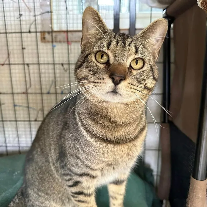 Martin & Bud thumbnail 3