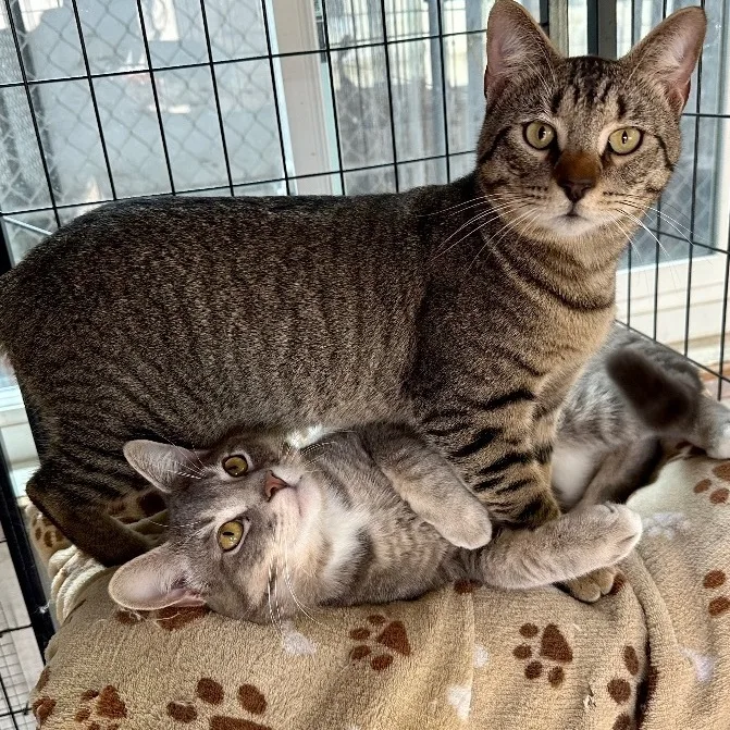 Martin & Bud thumbnail 4