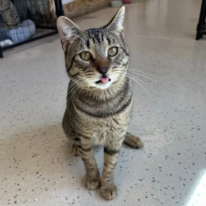 Martin & Bud thumbnail 5