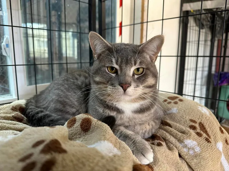 Martin & Bud thumbnail 6