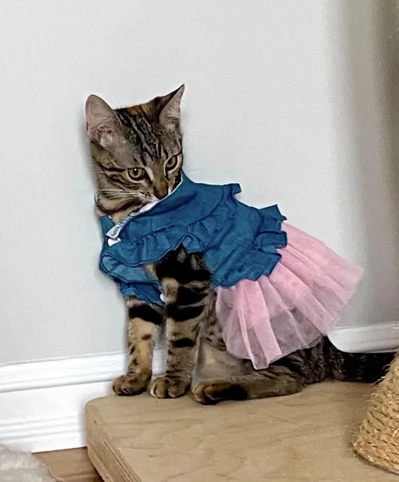 Eloise thumbnail 2