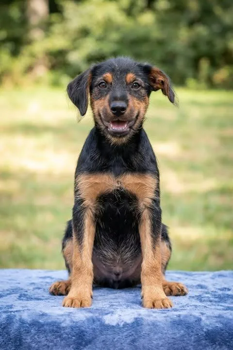 Cosmo