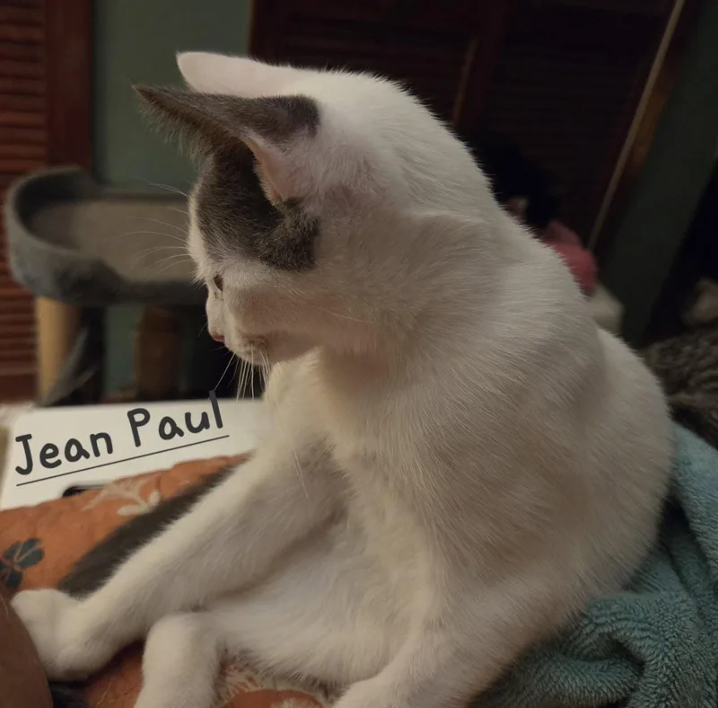 Jean Paul thumbnail 2