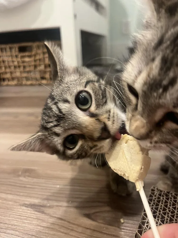Tango