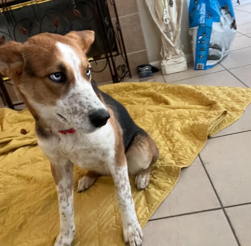 Poppy And Daisy thumbnail 2