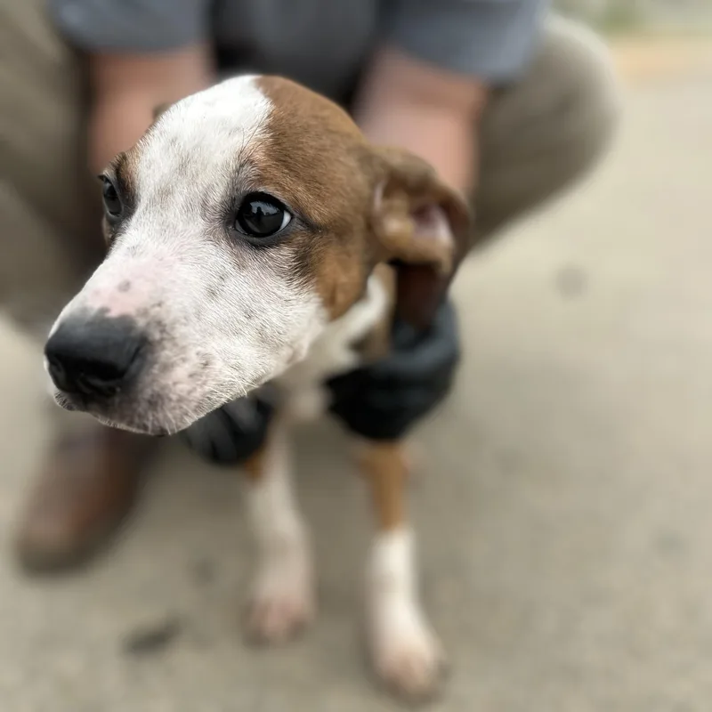 Mannequin Challenge thumbnail 2