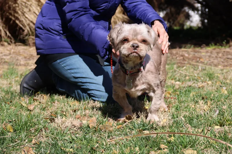 Brewster thumbnail 4