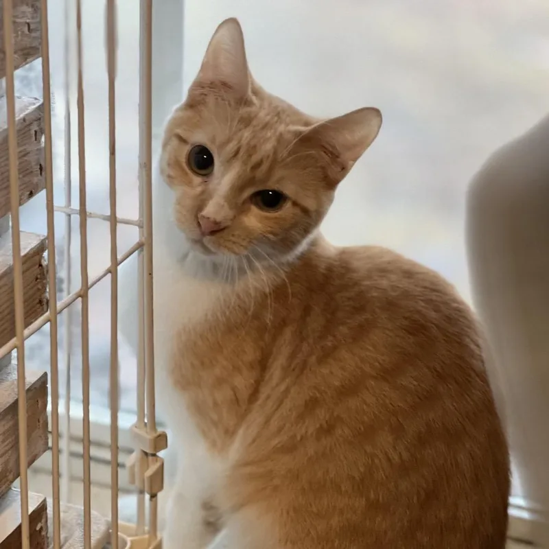Bianca  Feral thumbnail 3