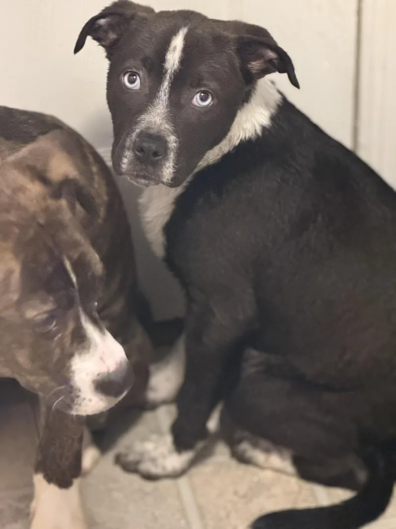 Charlotte thumbnail 3