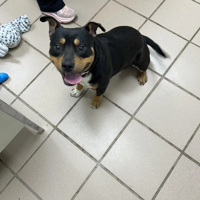 Bruno Mars thumbnail 2