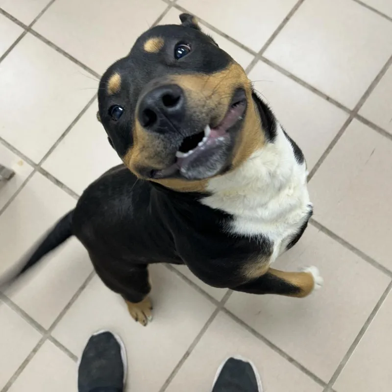 Bruno Mars thumbnail 3