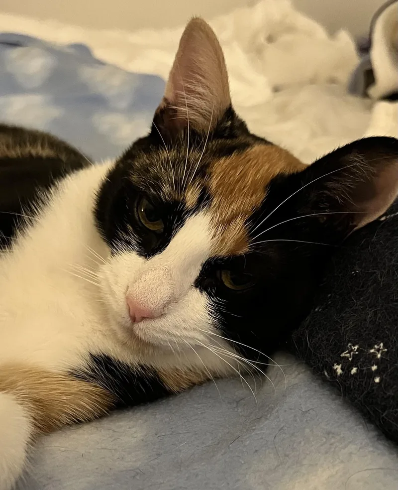 Maisey and Fiona thumbnail 2