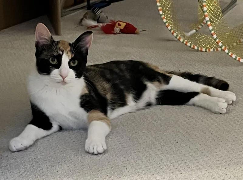 Maisey and Fiona thumbnail 3