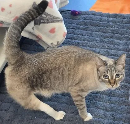 Tinkerbell thumbnail 2