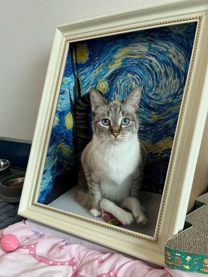 Tinkerbell thumbnail 3