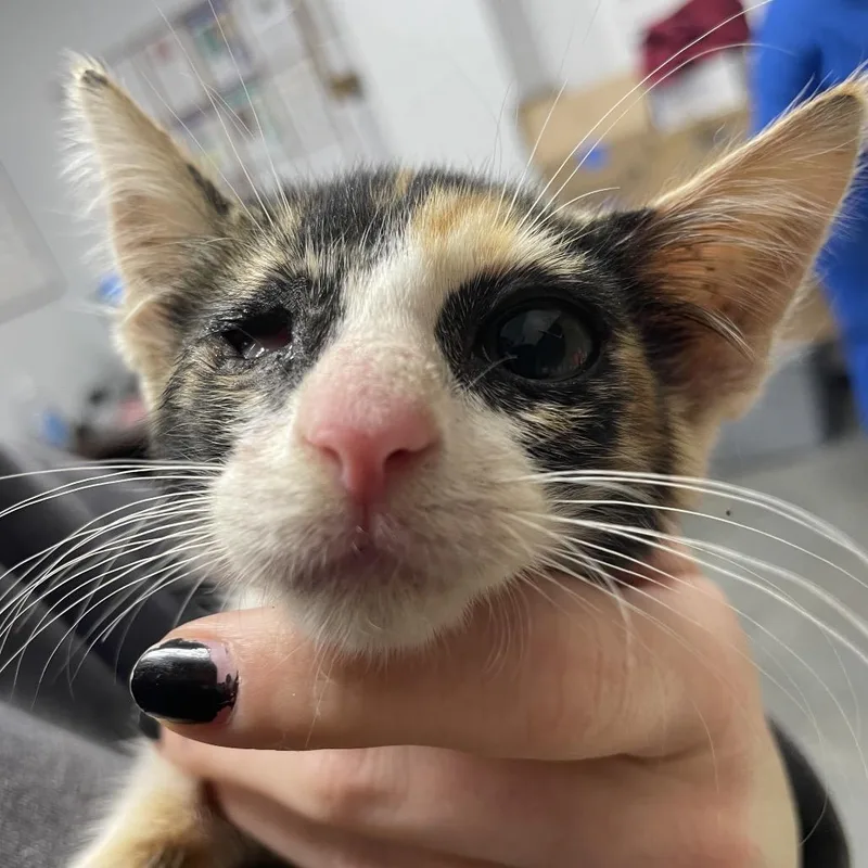 Sabrina thumbnail 2