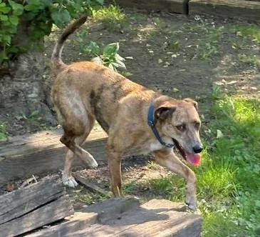 Lil Girl thumbnail 2