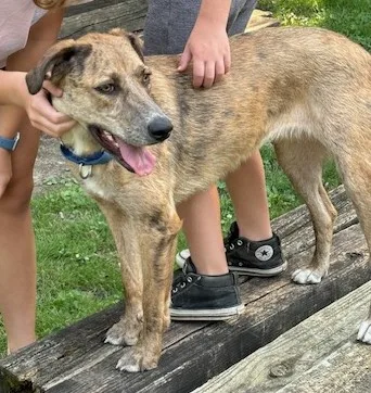 Lil Girl thumbnail 3