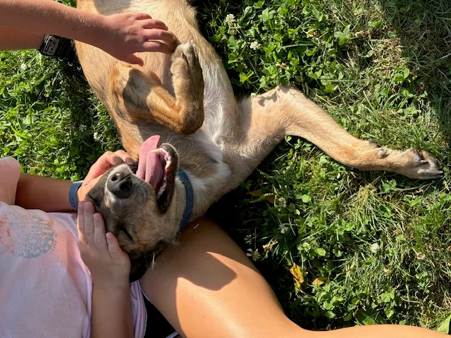 Lil Girl thumbnail 4