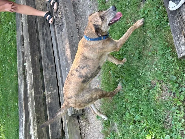 Lil Girl thumbnail 5