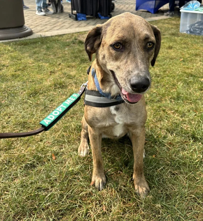 Lil Girl thumbnail 6