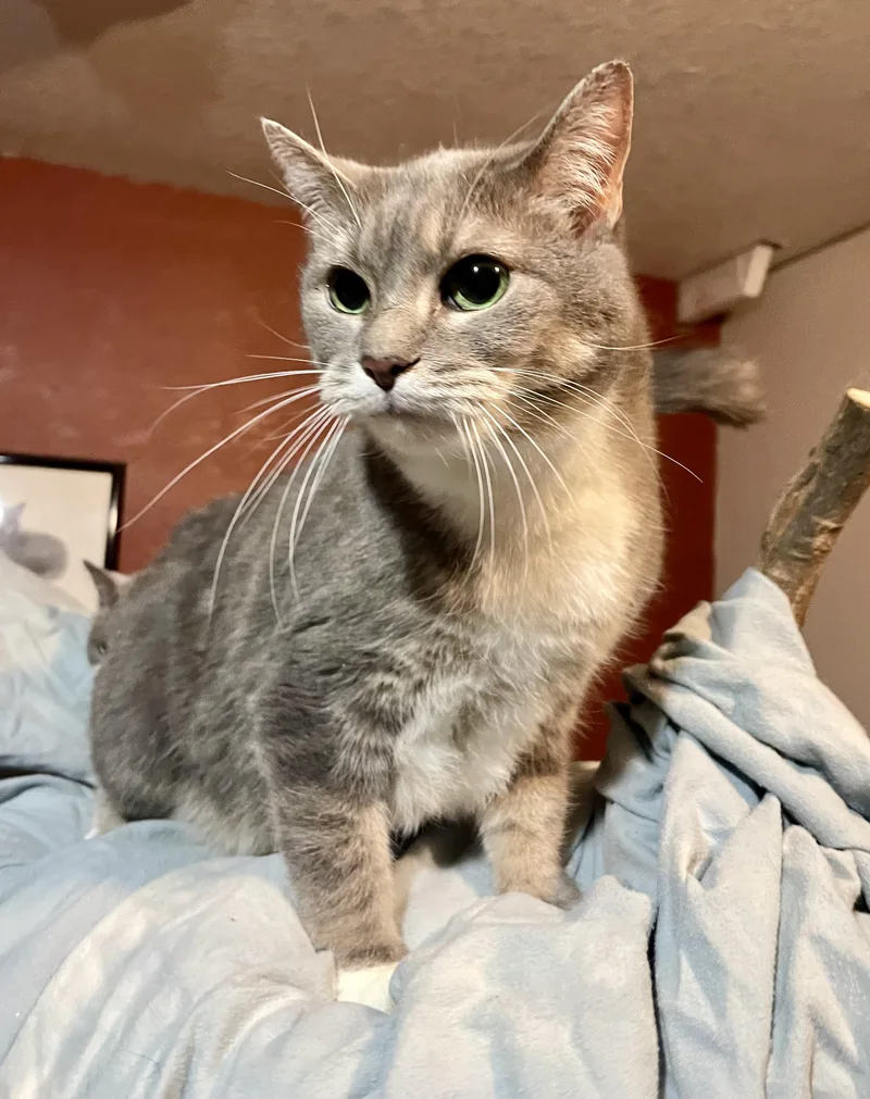 Silvie & Izzie thumbnail 2