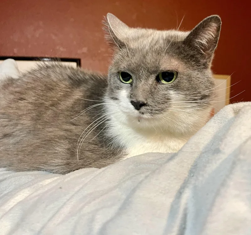 Silvie & Izzie thumbnail 4