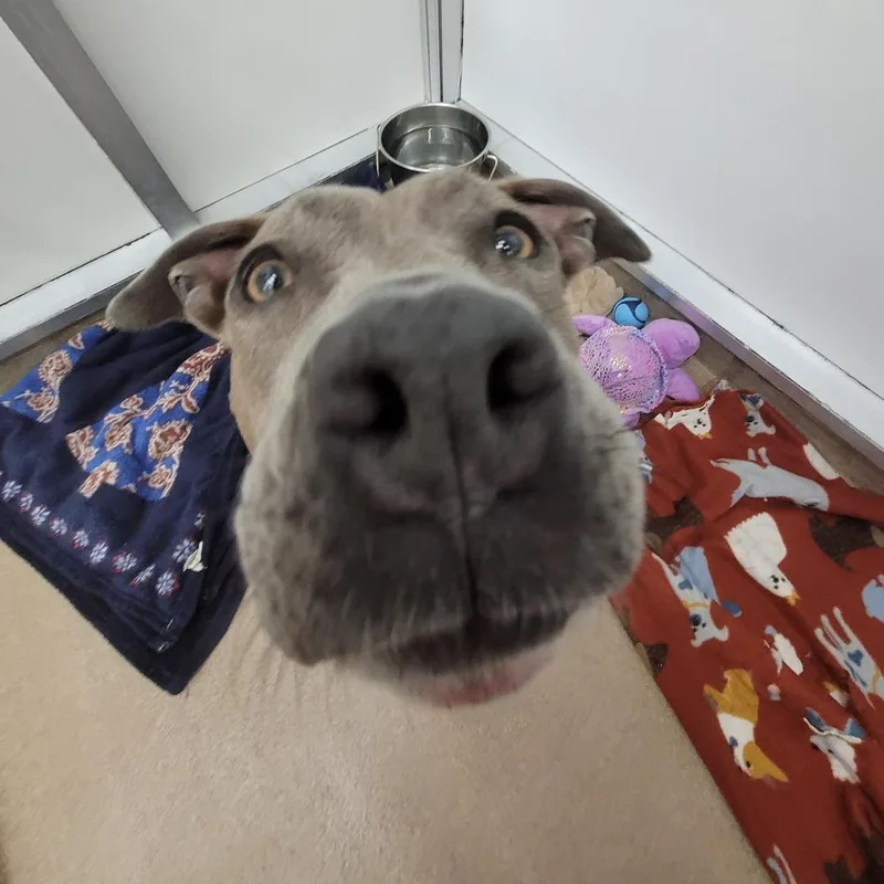 Socks thumbnail 6