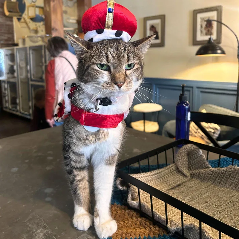 Terabithia thumbnail 3