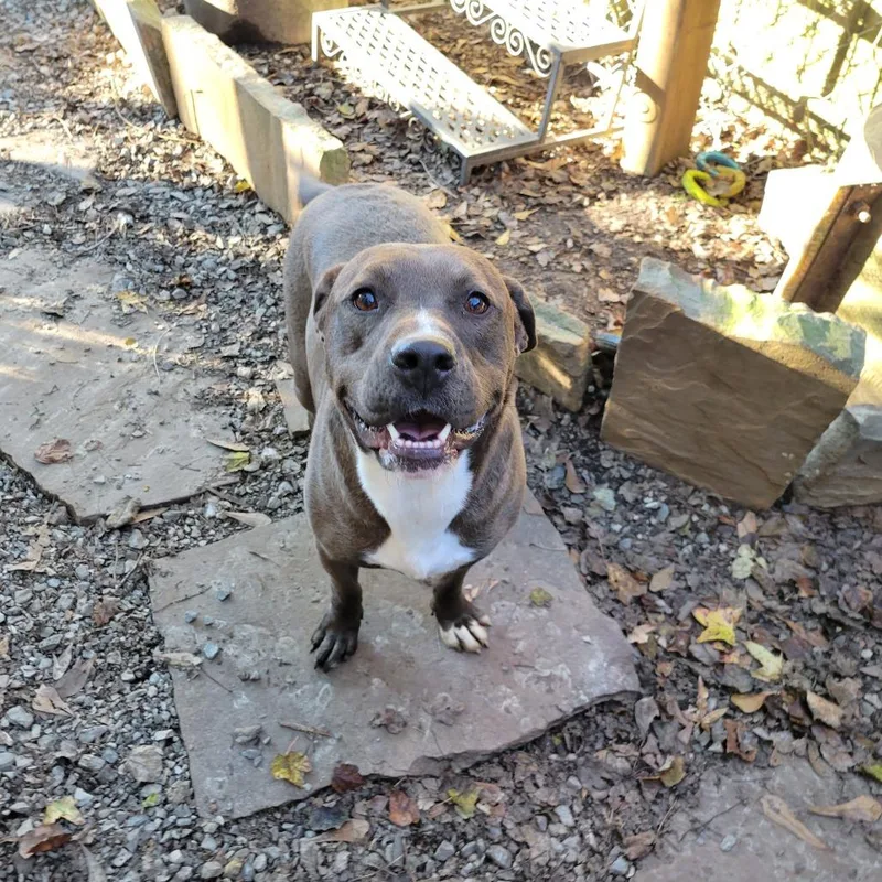 Harriette thumbnail 2