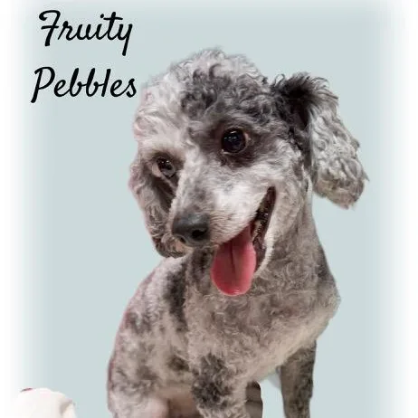 Fruity Pebbles thumbnail 2