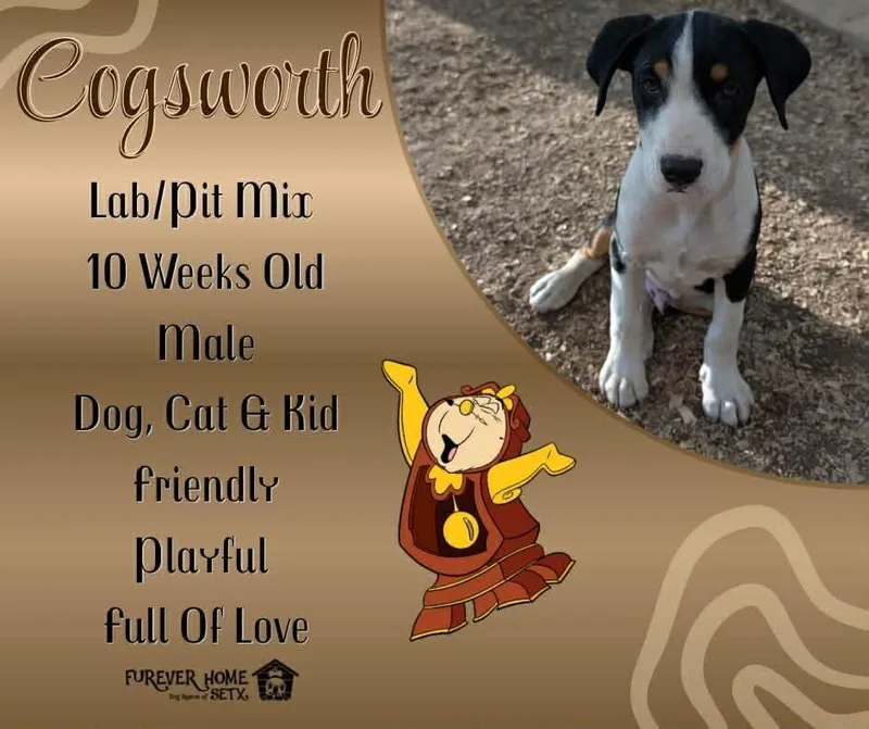 Cogsworth