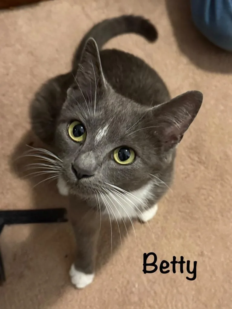 Betty thumbnail 2