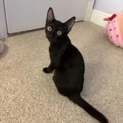Fiona