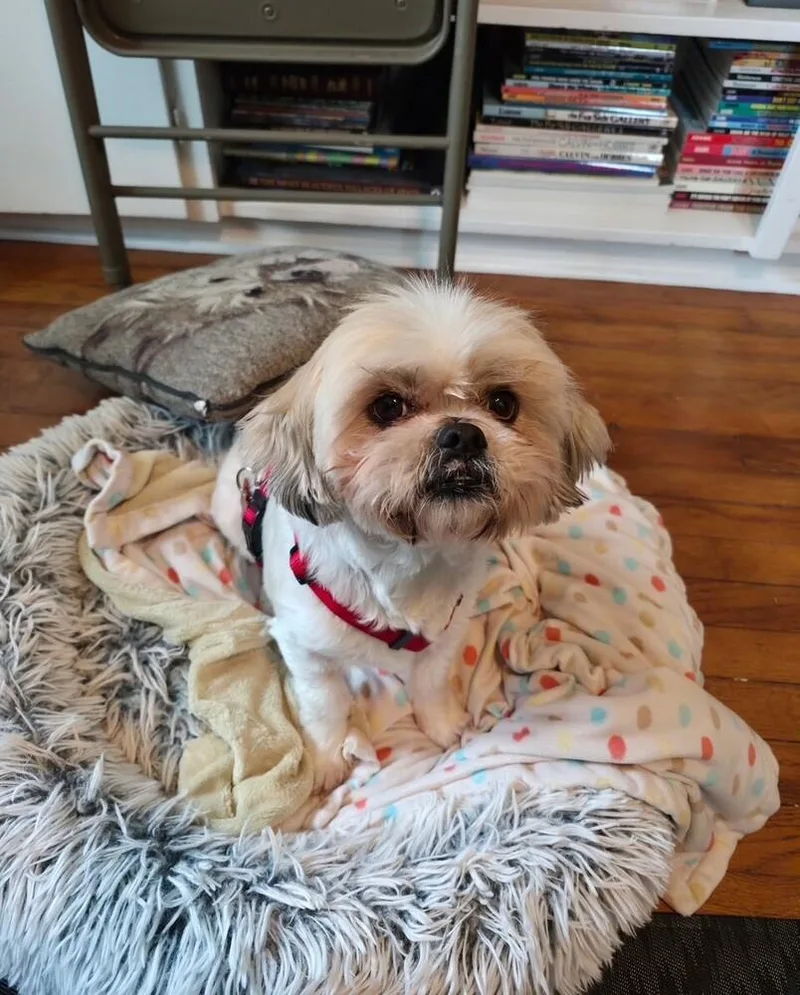 Tobey Maguire thumbnail 2