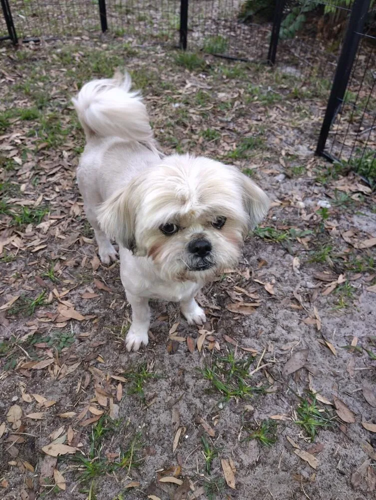 Tobey Maguire thumbnail 3