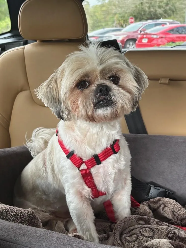 Tobey Maguire thumbnail 4