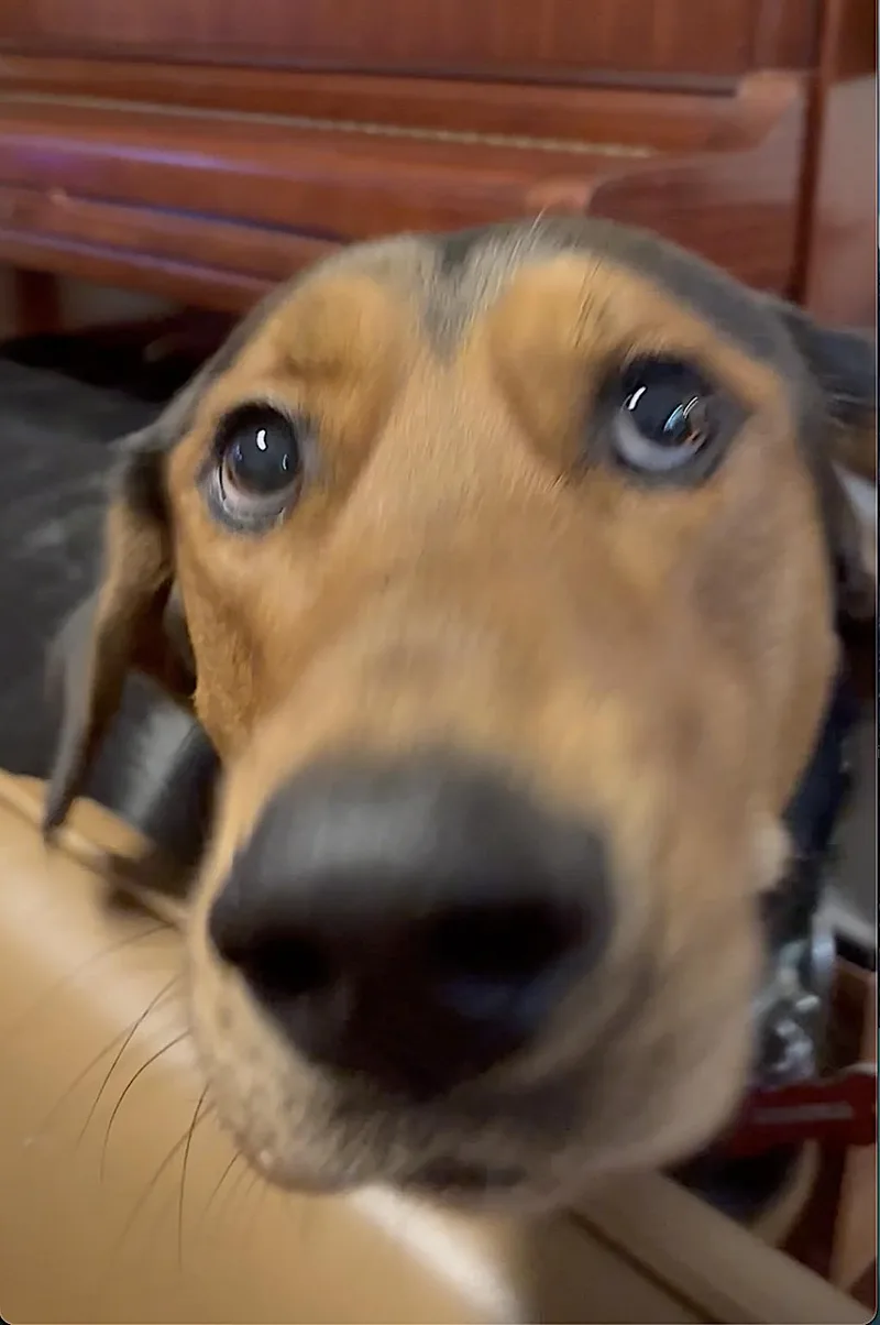 Mocha thumbnail 2