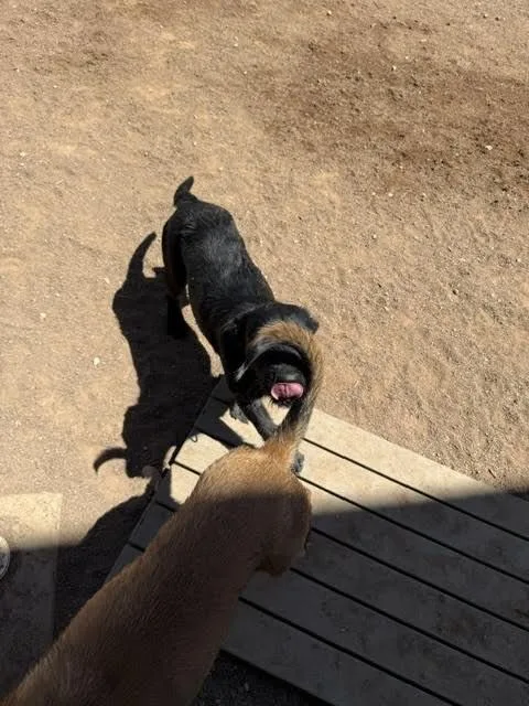 Xena thumbnail 2